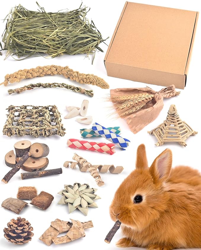 Bissap Rabbit Chew Toy, Natural Bunny Treats Snacks with Timothy Hay Water Grass Mat Coconut Husk Box for Guinea Pigs Chinchillas Hamsters Gerbils and Other Small Pets Teeth Grinding