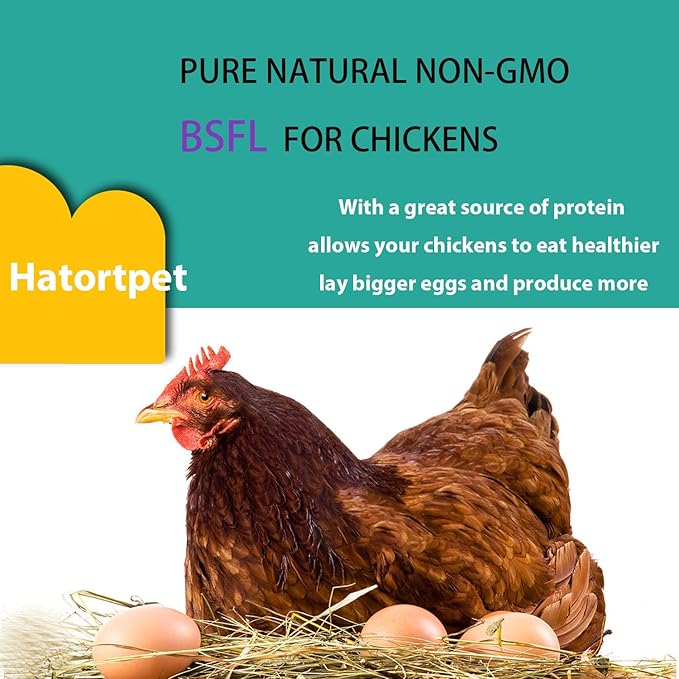 Dried Black Soldier Fly Larvae 5LB-Pure Natural Non-GMO BSF Larvae for Chickens-More Calcium Than Mealworms High-Protein Chickens Treats for Layer Hens Wild Birds Ducks