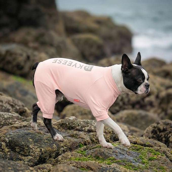 KYEESE UV Protection Dog Shirt, UPF 50+ Cooling Summer Jumpsuit for Small Medium Dogs, Breathable Reflective Shedding Control Dog Sun Shirts, Quick-Dry Dogs Onesie Pet Clothes, Pink, XL