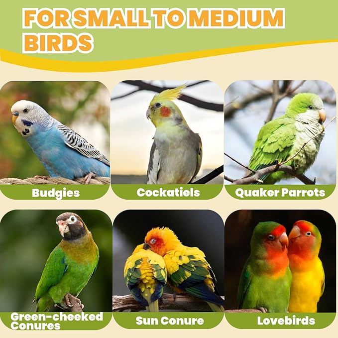 Natural Wood Bird Perch with Chewing Toy - Hanging Rainbow Strips, Beads & Charms for Parakeets Cockatiels Conures Cage Accessories