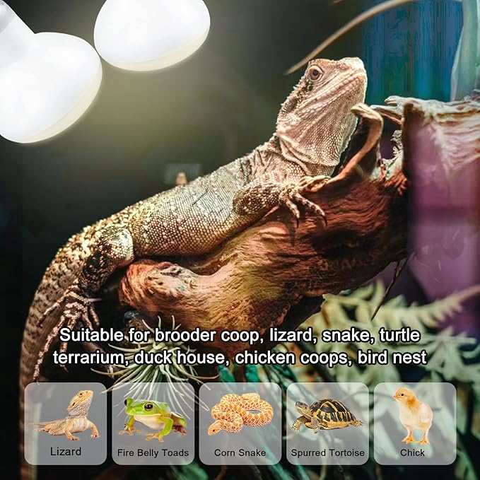 Reptile Heat Lamp 100W, Daylight UVA Basking Light Bulbs with E26 Base for Lizards, Turtles, Snakes and Amphibians 2 Pack