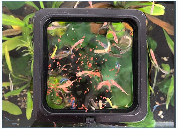 E-outstanding 2pcs Fish Feeding Ring Tropical Fish Food Ring Aquarium Fish Tank Accessories Water Plant Buoyancy Suction Cup (1 x Round Shape and 1 x Square Shape), Black