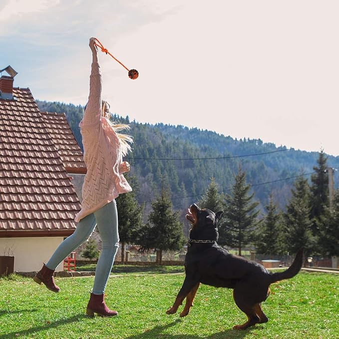 K9 Training Ball with Rope Exercise and Reward Toy for Dogs - Indestructible Dog Toy Ball with Handle for Training Pull Throw Tug Fetch Belgian Malinois Gifts (Orange)