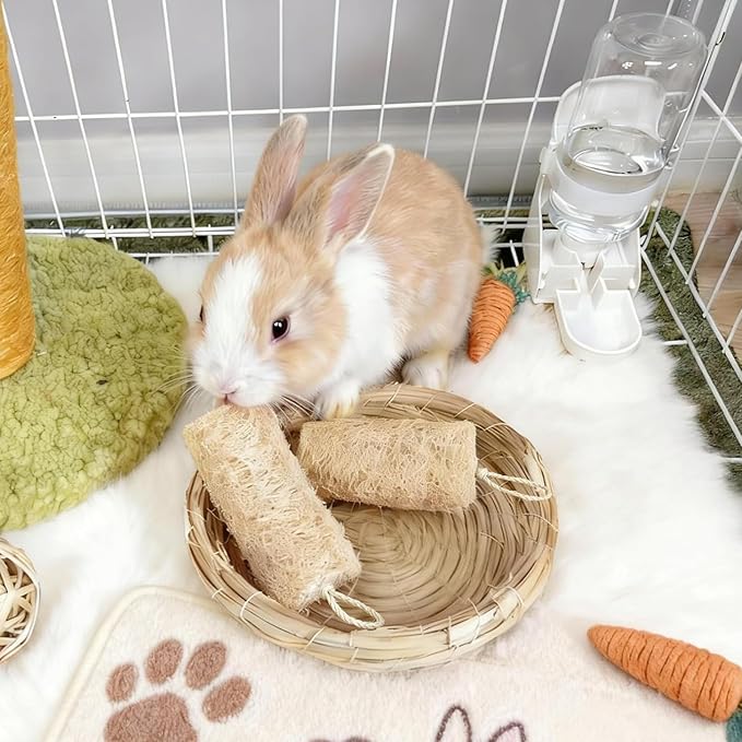 6 PCS Rabbit Chew Toys Natural Loofah Guinea Pig Treats Bunny Stuff Cage Accessories for Chinchillas Guinea Pig (6PCS)