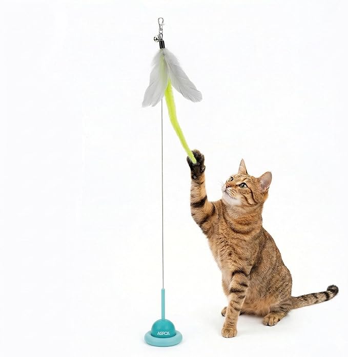 ASPCA Suction Cup Cat Toy Interactive Wand, Self Play Cat Toy for Indoor Cats, Attaches to Smooth Surfaces, Teaser Wand for Chasing, Batting & Enrichment, Blue