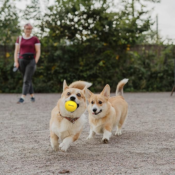 Dog Balls Indestructible,Solid Rubber Bouncy for Dogs Aggressive Chewers Large Breed,Non-Toxic&Floating&High Elasticity,Durable Fetch Ball Medium to Chew,Play and Training. (Yellow)