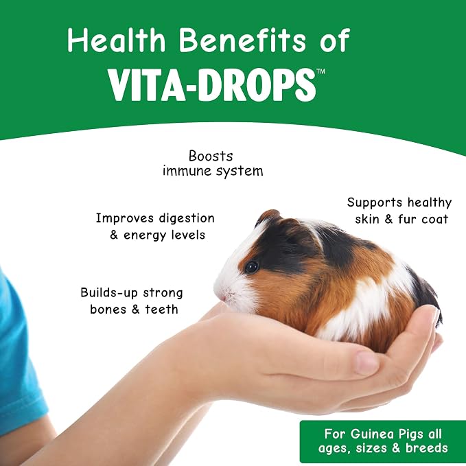 Oasis # 80061 Guinea Pig Vita Drop, 2-Ounce (Pack of 2)