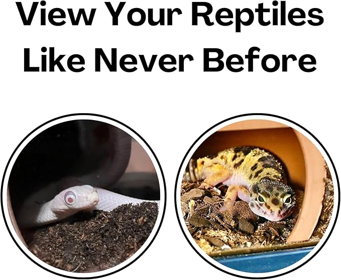 Reptile Underground Cave Viewing Hide | Hognose Snake Leopard Gecko Hide Habitat Tank Enrichment | Reptile Decoration Accessories Supplies Toys Ornaments