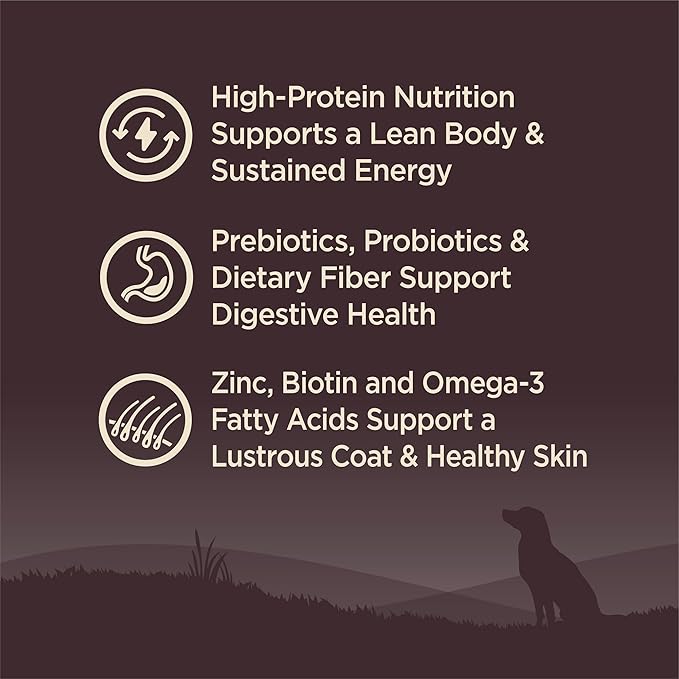 Wellness CORE Small Breed Adult Dry Dog Food, Grain Free Kibble, Natural, High Protein, Turkey and Chicken Recipe, 12 lb Bag