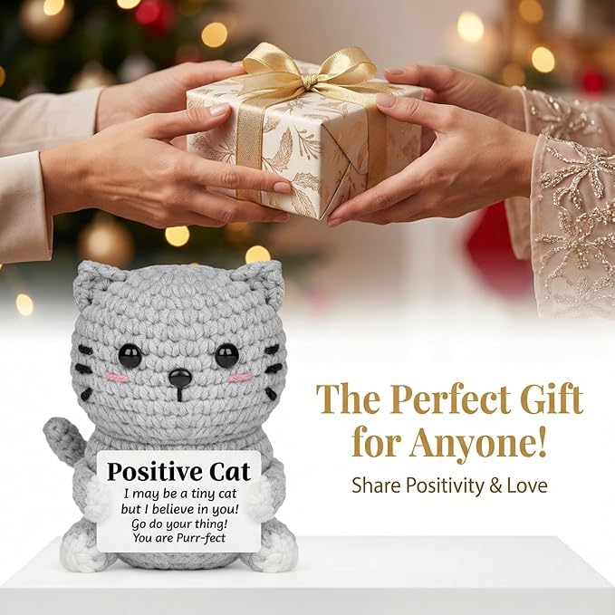 Positive Cat Plush with Encouraging Sign, Crochet Gift of Support for Women, Uplifting Sister Friendship Present, Gray Message Holder Toy