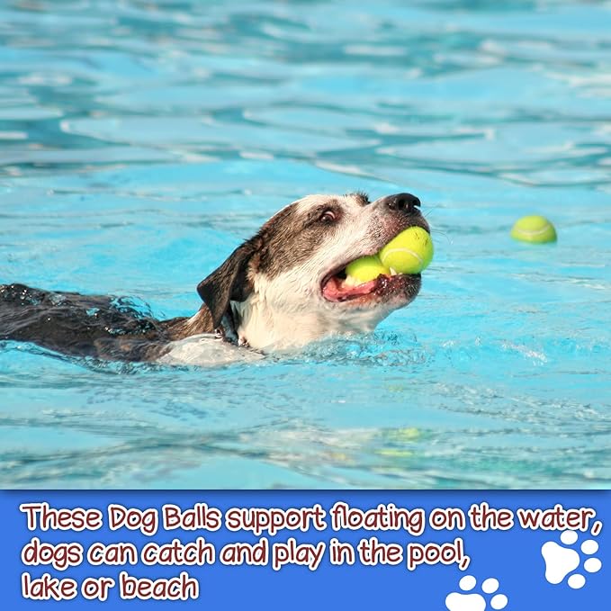 INSUM Squeaky Dog Balls - Squeaky Tennis Balls for Dogs, Multicolor | Large - 3.0'', 4Pack