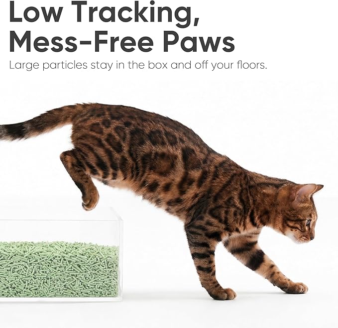 FUKUMARU Tofu Cat Litter 12LB – Clumping Cat Litter, Odor Control with Green Tea Scent, Dust Free and Easy to Agglomerate, Disposable in The Toilet