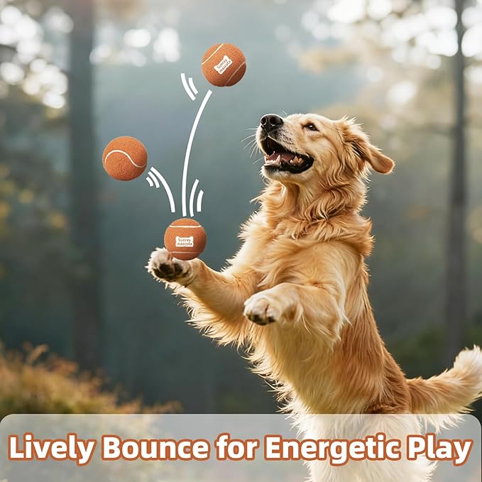 2.5" Dog Tennis Balls 24-Pack – Silent Bounce, Tough Rubber Core, Durable Fetch & Training Toys for Indoor/Outdoor Play, for Small Medium Large Dogs (Classic Mix Color, 24-Pack)