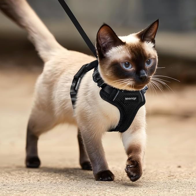 Cat Harness and Leash for Walking, Cat Car Harness, Soft Adjustable Vest Harnesses for Cats, Easy Control Breathable Reflective Strips Harness, Kitten Harness and Leash Set, Black, S(7-12lbs)