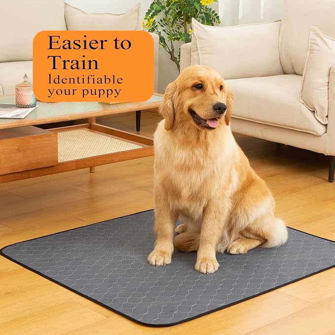 Bunlitent Washable Pee Pads for Dogs 5 Pack, 34x36 Reusable Puppy Pads with Quick Dry, Anti-Slip, Ideal for House Training, Crate & Whelping, Dog Carpet