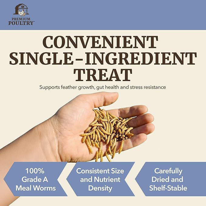 Dried Mealworms for Chickens – High Protein Chicken Treats for Egg Production & Flock Health – Bulk Mealworms for Ducks, Wild Birds, Reptiles & Backyard Poultry Feed, 20 lb