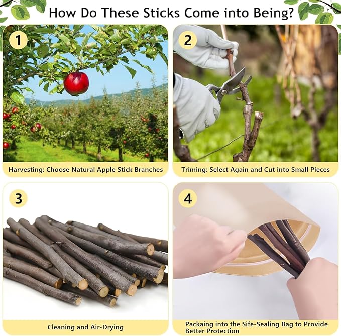2000g Organic Apple Sticks Small Animals Molar Wood Treats Toys for Chinchillas Guinea Pig Rabbits Hamster Gerbil Parrot Bunny Chew Stick Toys, 70.6 OZ