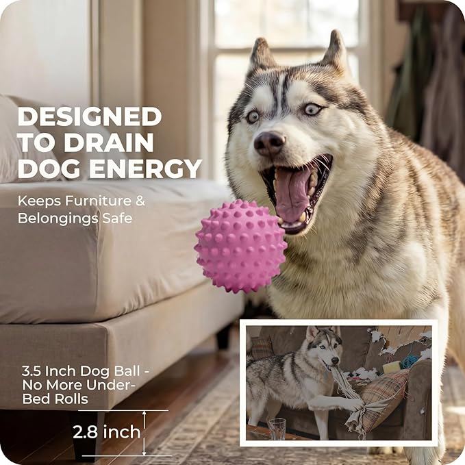 Apasiri 3.5" Durable Squeaky Dog Ball Toy for Puppy Medium Large Dogs(25-80 lbs): Bacon Flavored Pink Spiky Rubber Bouncing Floating Balls for Dogs, Tough Large Outdoor Dog Water Fetch Toys, Dog Gifts