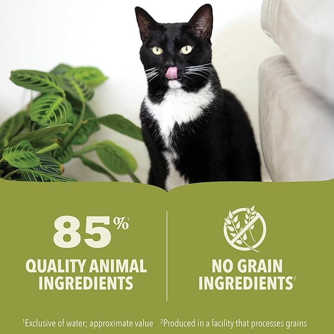 ACANA Premium Pate Wet Cat Food in Bone Broth Chicken + Fish Recipe 3oz Cans (24 count)