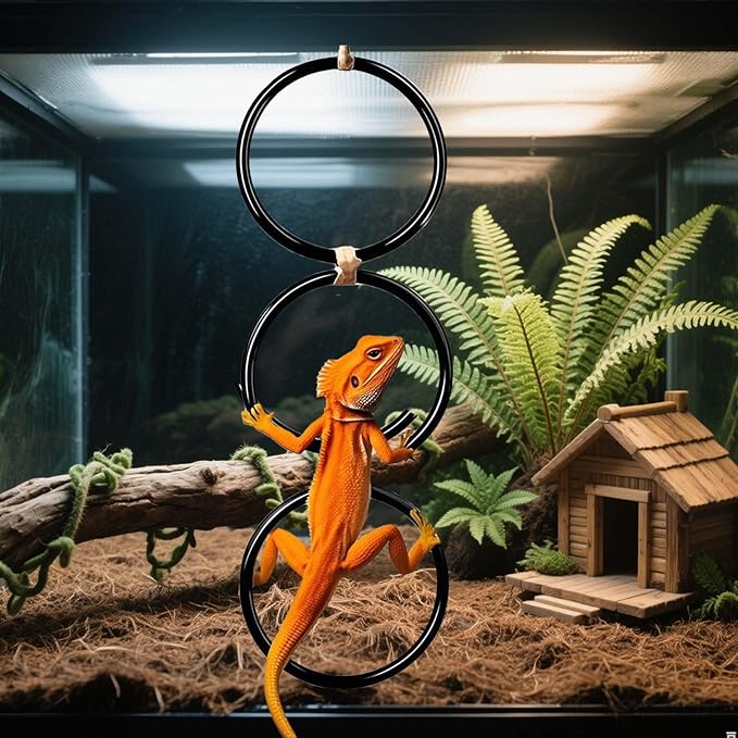 2 Pack Snake Climbing Rings for Ball Python & Corn Snake,Reptile Enrichment Toys for Snake,Ball Python Tank Decor, Reptile Tank Accessories for Bearded Dragon,Chameleon, Iguana, Gecko, Lizard (Black)