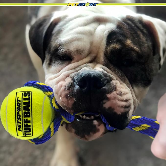 PetSport Fling Thing Dog Ball on Rope Toy, 12" Tennis Ball Rope for Fetch and Tug of War - 2.5" Tuff Ball with Non-Abrasive Felt, Non-Toxic, Durable Toy for Small and Medium Dogs
