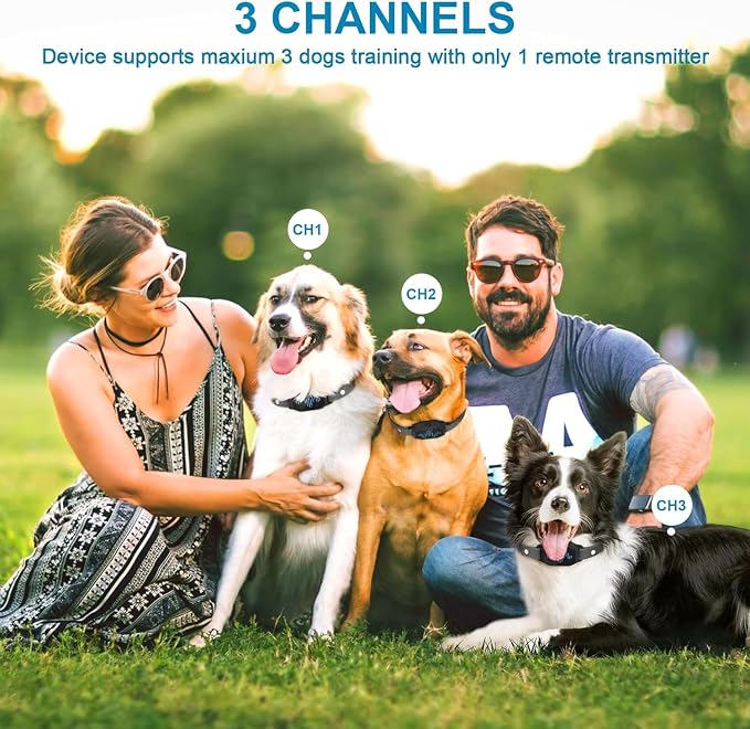 Dog Training Collar with Remote Control 2 Pack, 2500ft Control Range, 4 Training Modes, IP67 Waterproof E Collar for All Breeds, Small Medium Large Dogs