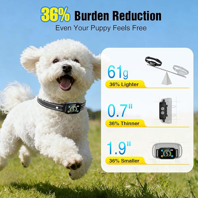 2 Pack Bark Collar, Smart Dog Bark Collar for Large Medium Small Dogs, Rechargeable Ultra-Light Training Collar with Beep Vibration, Anti Barking Device with 5-Level Sensitivity (BlackBlue)