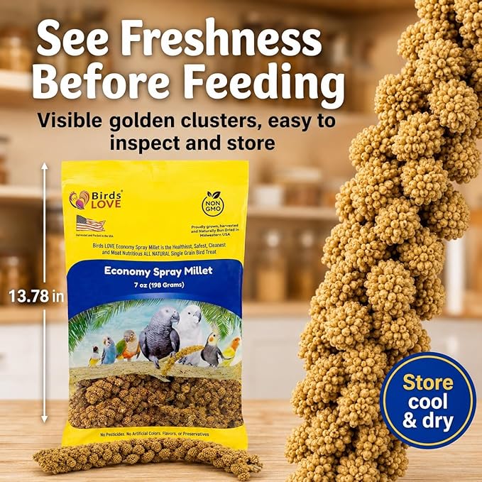 Birds LOVE Economy Special Spray Millet GMO-Free (No Stems Only Edible Tops) for Birds Cockatiel Lovebird Parakeet Finch Canary All Parrots Healthy Treat - 7oz