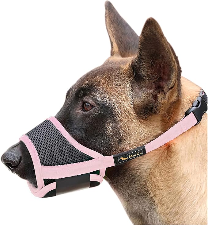 HEELE Dog Muzzle,Soft Nylon Muzzle Anti Biting Barking Chewing,Air Mesh Breathable Drinkable Adjustable Loop Pets Muzzle for Small Medium Large Dogs 4 Colors 4 Sizes (Pink, M)