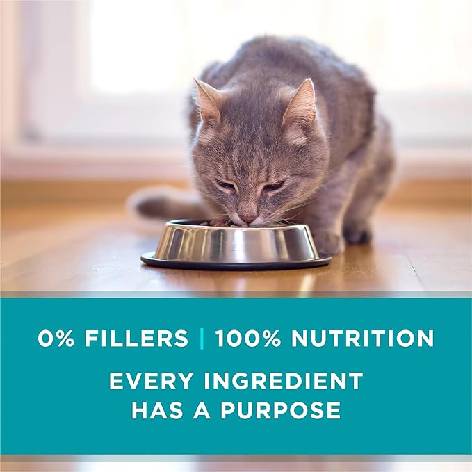 Purina ONE Natural, High Protein, Grain Free Wet Cat Food Pate, Beef Recipe - (Pack of 48) 3 oz. Pull-Top Cans