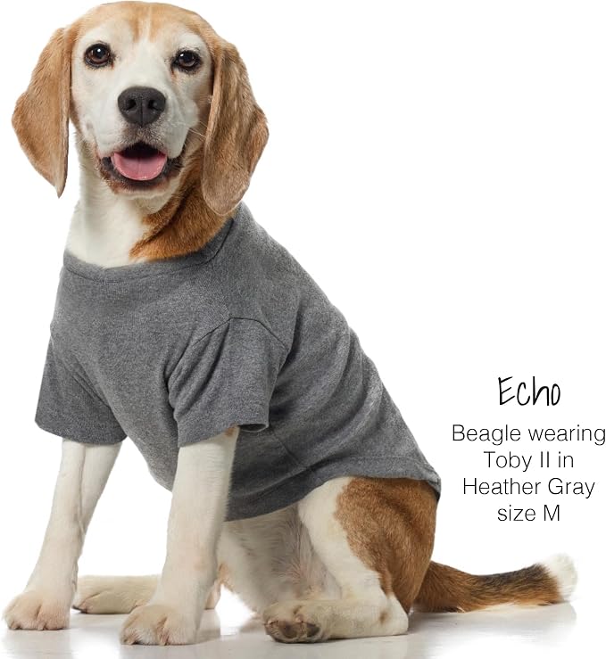 Pet Passion Toby II - The Perfect Tee, 3 Pack Short Sleeve Pet T-Shirt 100% Organic Cotton Tees Clothes for Small, Medium, Large Dogs, Gray Ombre, Medium (20-45 lbs)