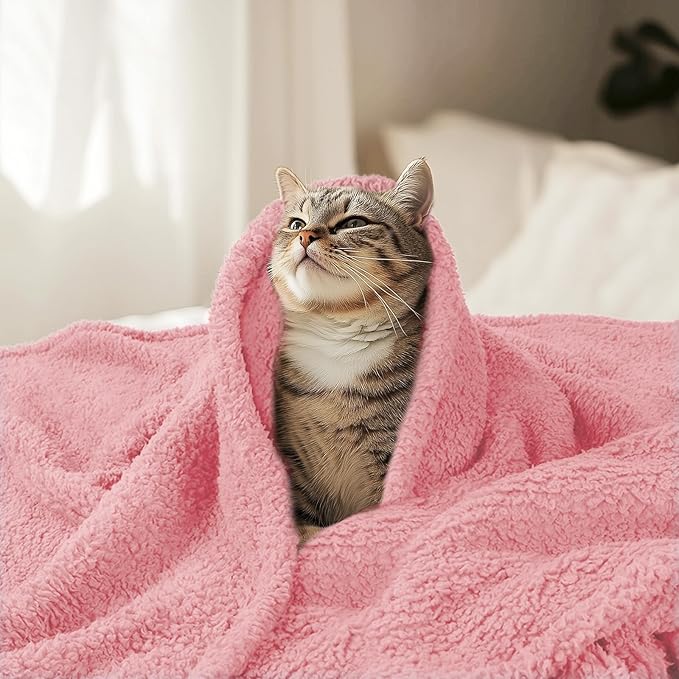 Luciphia Premium Fleece Pet Blanket for Small Medium Dogs Puppy Soft Sherpa Calming Cat Throw Blankets(Pink,41x31 inches)