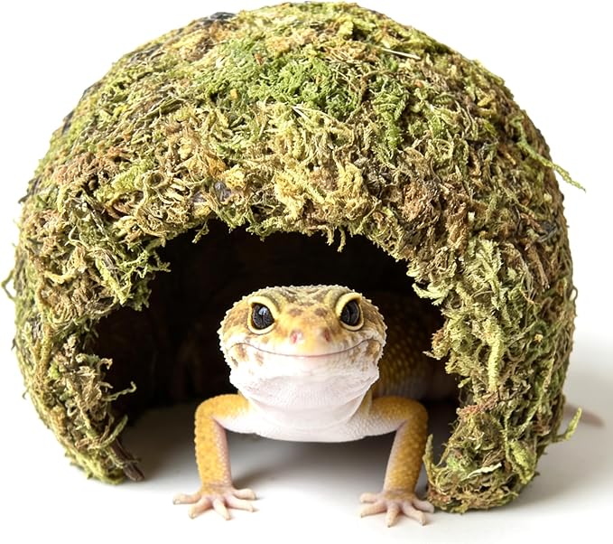Snake Hide & Reptile Cave - Bearded Dragon Accessories & Leopard Gecko Tank Accessories - Coconut Moss Terrarium Decor & Reptile Supplies for Amphibian Habitats