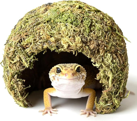 Snake Hide & Reptile Cave - Bearded Dragon Accessories & Leopard Gecko Tank Accessories - Coconut Moss Terrarium Decor & Reptile Supplies for Amphibian Habitats