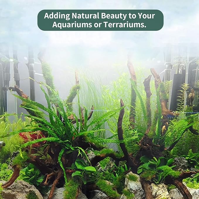 Hamiledyi Natural Large Driftwood for Aquarium 12-18 Inch Driftwood Branches Fish Tank Decoration Reptile Toy Assorted Size Reptile Habitat Decor Wood for Lizad (1 Pack)