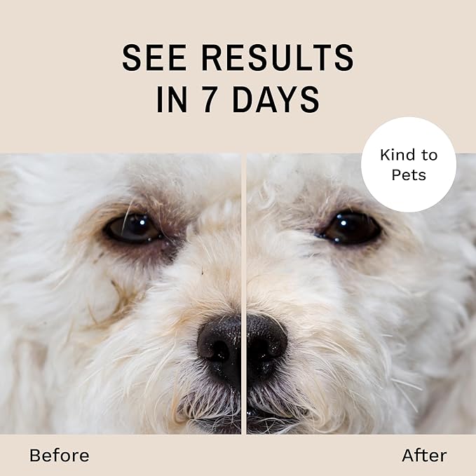 Eye Envy Dog Tear Stain Remover Starter Kit with ProPowder Brush | Stain Solution, Applicator Pads, Stain Powder and Small Applicator Brush | Lasts 30-45 Days