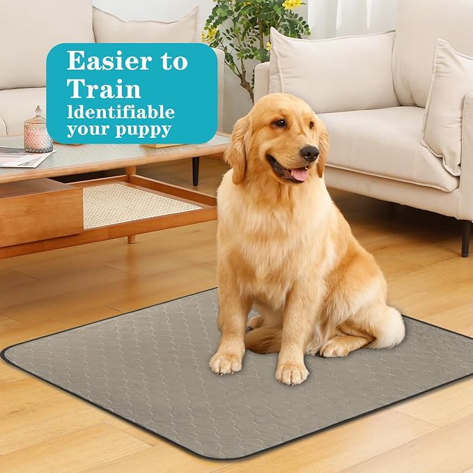 Bunlitent Washable Pee Pads for Dogs 36" x 72", 3 Pack, Reusable Puppy Pads, Dog Training Pads with Quick Dry, Large Anti-Slip Whelping Pad for Pet, Playpen, Incontinence, Housebreaking