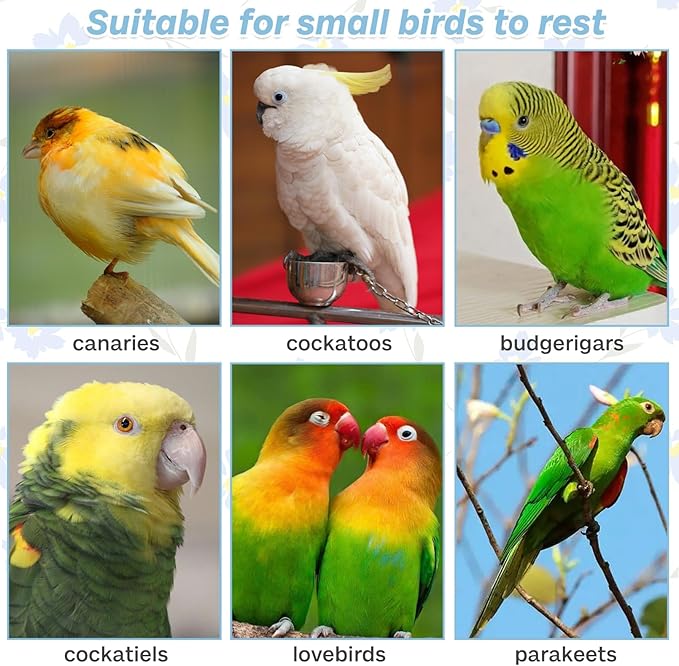 PINVNBY PIVBY Bird Perches for Cage Colorful Parrot Stand Toy Platform Paw Grinding Stick for Small Medium-Sized Bird Parakeet Cockatiel Conure Budgies Lovebird Canary Colors Vary Pack of 3