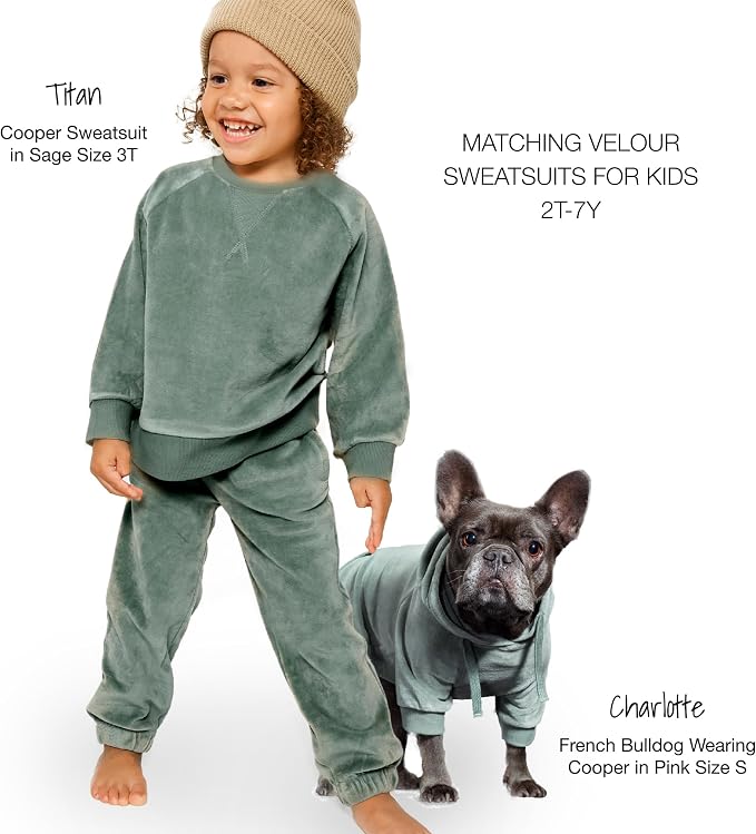 Pet Passion Cooper II Organic Cotton Velour Dog Hoodie Pet Coat for Small, Medium and Large Dogs, Sage, Large (40-60 lbs)