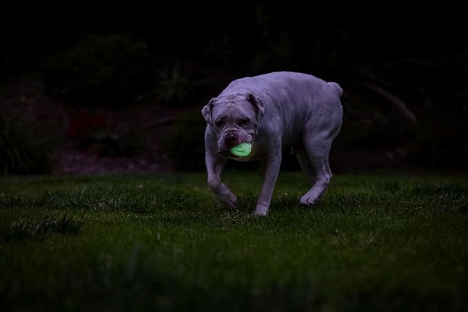 Chuckit! Air Glow Fetch Ball Dog Toy, Medium (2.5 Inch) Pack of 1, for Breeds 20-60 lbs
