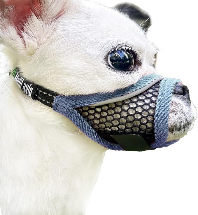 Dog Muzzle, Soft Mesh Muzzles for Small Dogs, Chihuahua Shih Tzu Yorkie Pom, Short Snout Mouth Guard for Barking Biting Grooming, Breathable Adjustable Puppy Muzzle(Silver-Blue, XXS)
