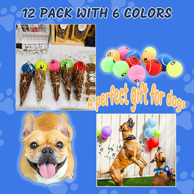 INSUM Bulk Tennis Balls for Dogs Pack of 12 Easy Catching Dog Fetch Balls (Non Squeaky-Multicolor)