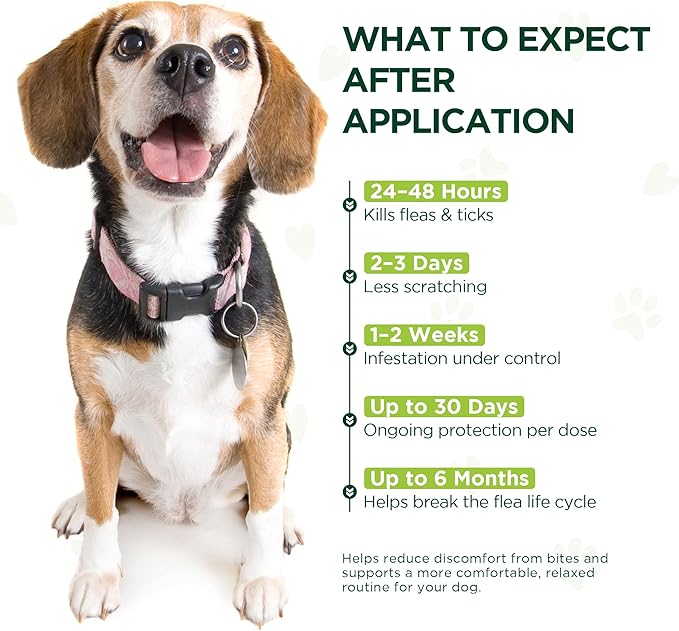 Flea and Tick Prevention for Medium Dogs, 6 Doses Treatment Helps Control Fleas, Ticks and Chewing Lice for Dogs 23-44 lbs, Waterproof, Fast Acting