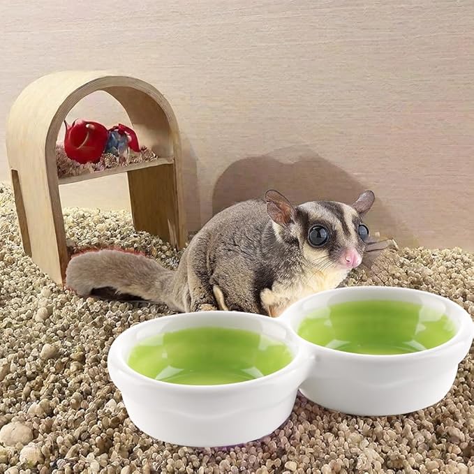 2 Pack Hermit Crab Food and Water Bowl Hamster Ceramic Bowl Anti-Turning Feeding Dish for Hamster Sugar Glider Hermit Crab (Random Color)