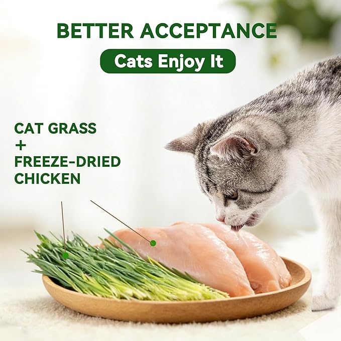 Freeze-Dried Chicken Cat Dental Treats with Cat Grass & Prebiotics, Sticks for Indoor Cats Digestive & Hairball Support, 4 oz