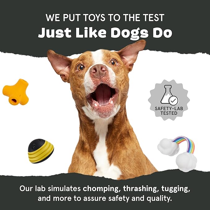 Barkbox Aurora Beast Super Chewer Dog Toy for Aggressive Chewers, Durable Natural Rubber with Soft Exterior Built for Tough Play and Long-Lasting Fun