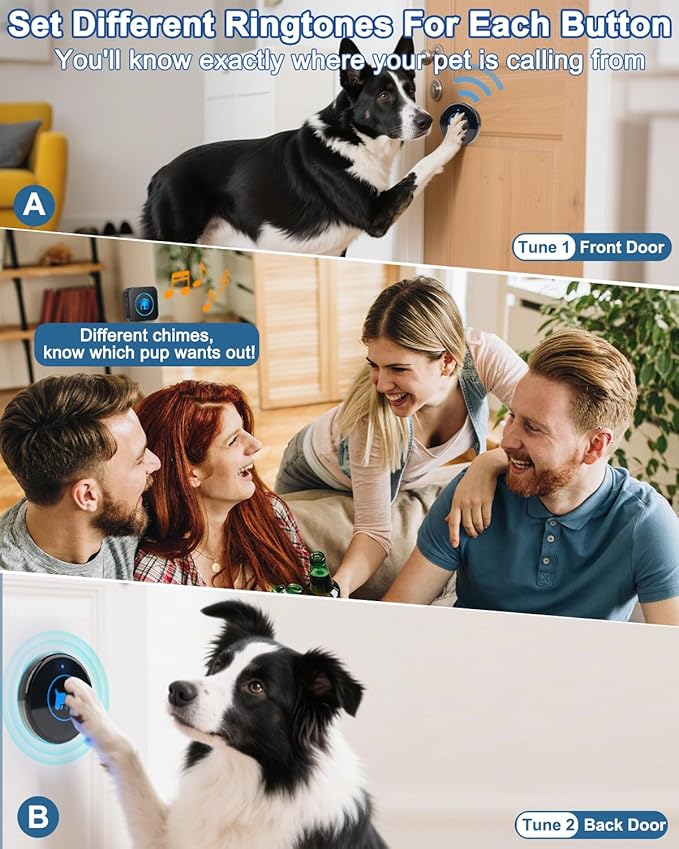 Dog Door Bell 2026 Enhanced Touch, Wireless Doggie Doorbell for Potty Training to Go Outside, IP65 Waterproof, 1000ft Range, 55 Melodies, 5 Modes & Adjustable Volume, 2 Buttons