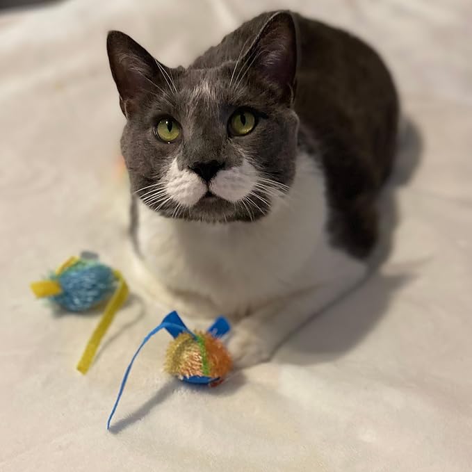 SPOT Stringy Mice & Balls - Catnip Cat Toys, Interactive, Colorful Plush Toys, Fun for Cats and Kittens to Bat and Chase, Boredom Buster - 2 Mice, 2 Balls