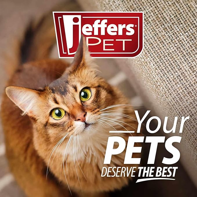 Jeffers Belly Buddy Cat Probiotic Powder Packets, 30 Count - Veterinary Formulated, Four Probiotic Strains & Vitamins for Gut Health, Diarrhea & Digestive Balance, Chicken Liver Flavor, USA Made
