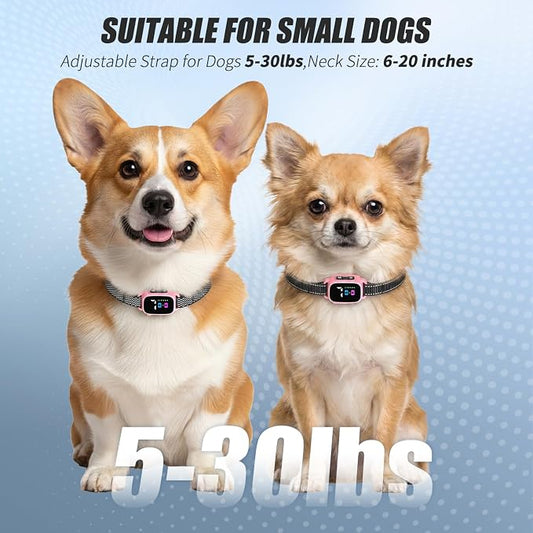 Anti Bark Collar for Small Dogs 2 Pack, No Shock Bark Collar with Beep & Vibration, 7 Sensitivity Levels, Rechargeable IP67 Waterproof Bark Collar for Small Dogs 5-30lbs, Pink